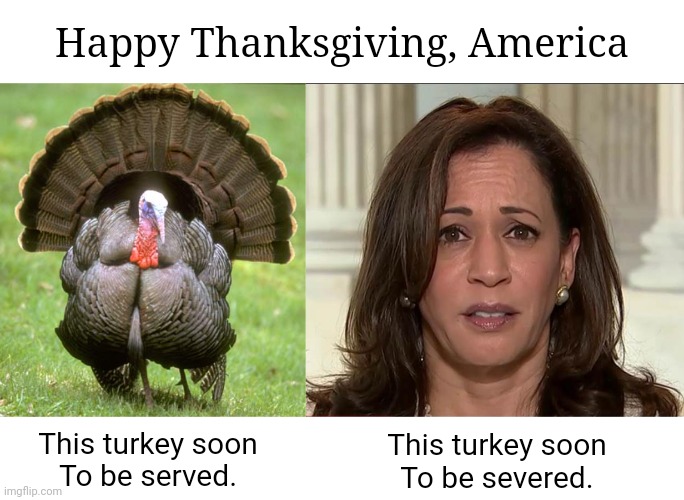 Thanksgiving | Happy Thanksgiving, America; This turkey soon
To be served. This turkey soon
To be severed. | image tagged in memes,turkey,kamala harris | made w/ Imgflip meme maker