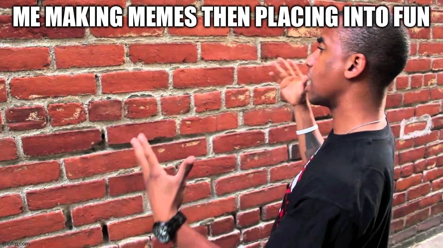 Man talking to wall | ME MAKING MEMES THEN PLACING INTO FUN | image tagged in man talking to wall | made w/ Imgflip meme maker