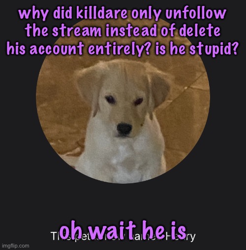 say hi to Henry | why did killdare only unfollow the stream instead of delete his account entirely? is he stupid? oh wait he is | image tagged in cinnabox announcement | made w/ Imgflip meme maker