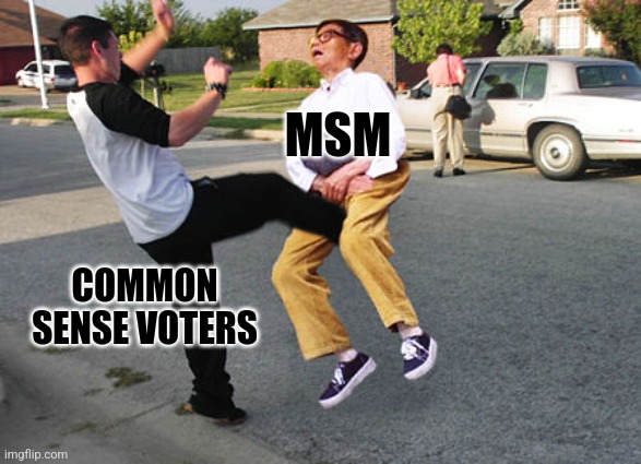 Kick in balls | COMMON SENSE VOTERS MSM | image tagged in kick in balls | made w/ Imgflip meme maker