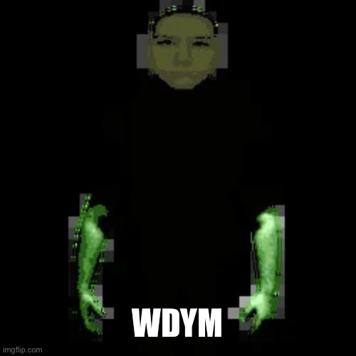 Garn47 (V2) | WDYM | image tagged in garn47 v2 | made w/ Imgflip meme maker