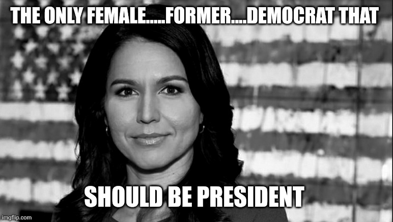 They lost a good one | THE ONLY FEMALE.....FORMER....DEMOCRAT THAT; SHOULD BE PRESIDENT | image tagged in tulsi gabbard | made w/ Imgflip meme maker