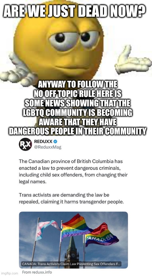 I think we may be dead now | ARE WE JUST DEAD NOW? ANYWAY TO FOLLOW THE NO OFF TOPIC RULE HERE IS SOME NEWS SHOWING THAT THE LGBTQ COMMUNITY IS BECOMING AWARE THAT THEY HAVE DANGEROUS PEOPLE IN THEIR COMMUNITY | image tagged in emoji guy shrug | made w/ Imgflip meme maker