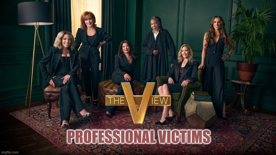 the view  professional victimis | PROFESSIONAL VICTIMS | made w/ Imgflip meme maker