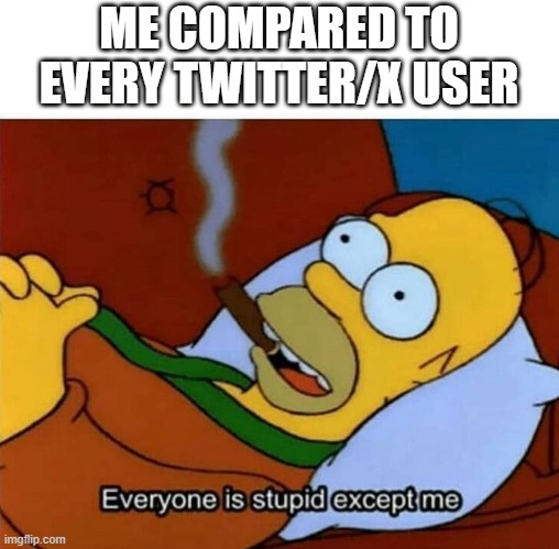 yep that's true | ME COMPARED TO EVERY TWITTER/X USER | image tagged in everyone is stupid except me,funny,memes,twitter,social media | made w/ Imgflip meme maker