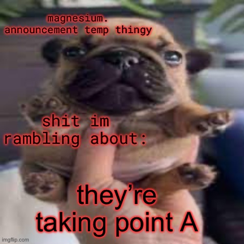 pug temp | they’re taking point A | image tagged in pug temp | made w/ Imgflip meme maker