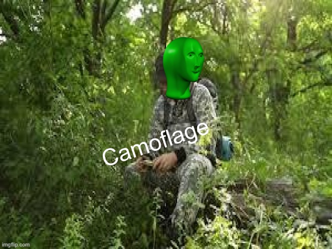 Camoflage | image tagged in camoflage | made w/ Imgflip meme maker