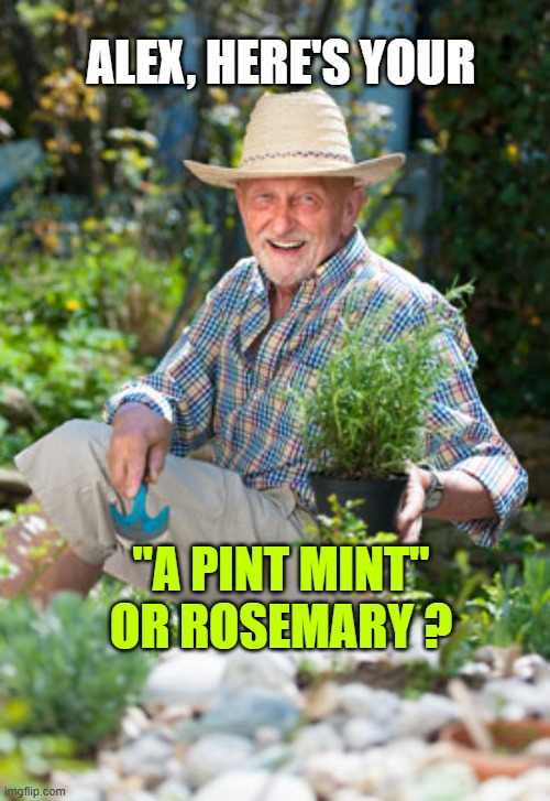 Herb in the Garden | ALEX, HERE'S YOUR "A PINT MINT"
OR ROSEMARY ? | image tagged in herb in the garden | made w/ Imgflip meme maker