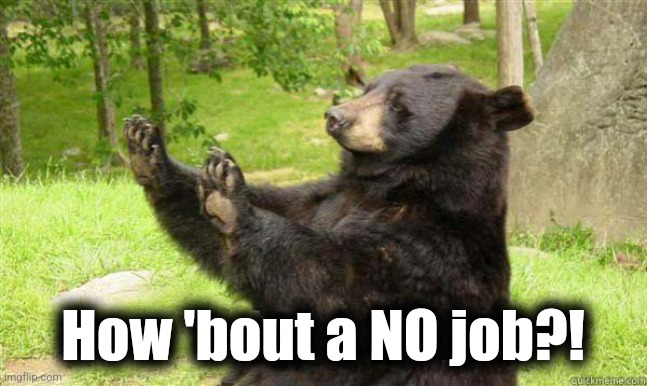 How about no bear | How 'bout a NO job?! | image tagged in how about no bear | made w/ Imgflip meme maker