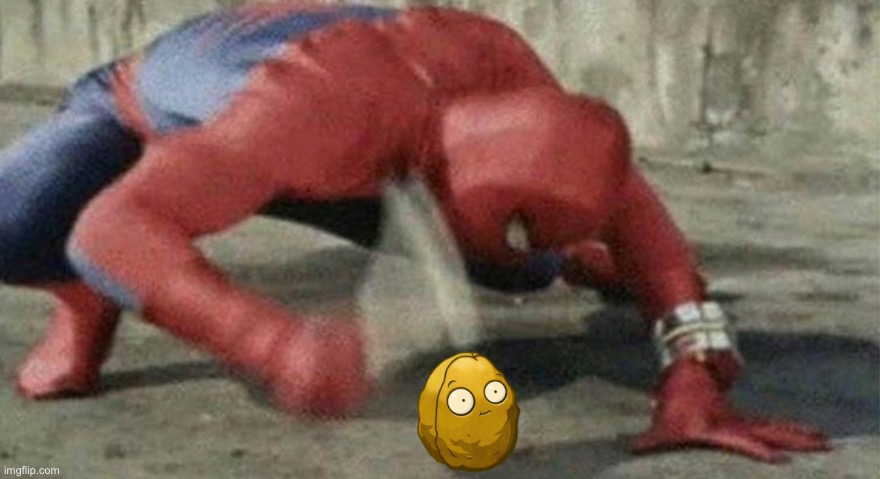 image tagged in spider man hammer | made w/ Imgflip meme maker