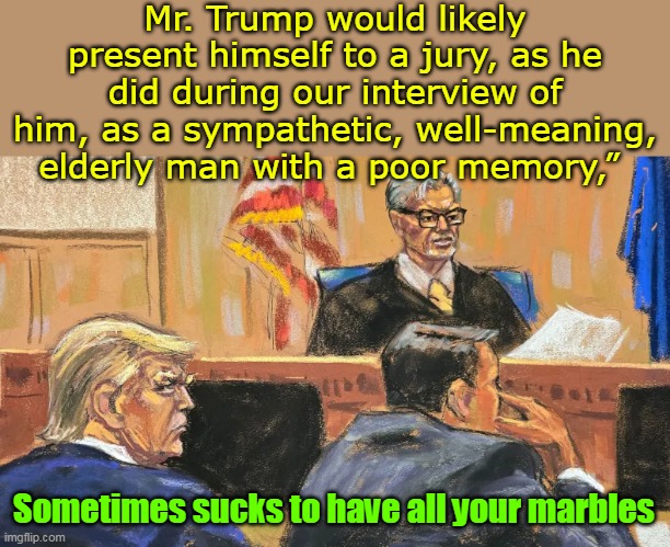 Can't we just site "Brandon VS Hur" and get it OVER with ??? | Mr. Trump would likely present himself to a jury, as he did during our interview of him, as a sympathetic, well-meaning, elderly man with a poor memory,”; Sometimes sucks to have all your marbles | image tagged in trump trial debacle bullshit meme | made w/ Imgflip meme maker