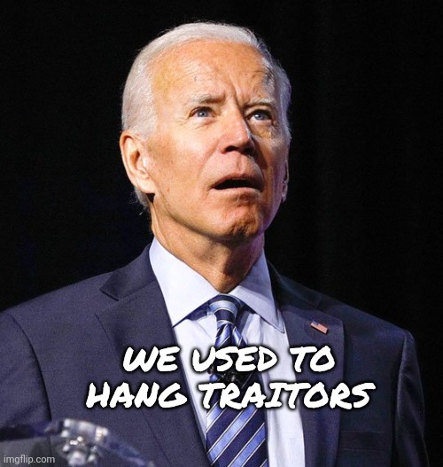 Joe Biden | WE USED TO HANG TRAITORS | image tagged in joe biden | made w/ Imgflip meme maker