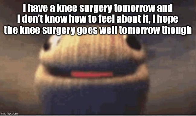 Srs | I have a knee surgery tomorrow and I don’t know how to feel about it, I hope the knee surgery goes well tomorrow though | image tagged in ballsock | made w/ Imgflip meme maker