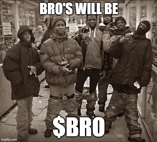 All My Homies Hate | BRO'S WILL BE; $BRO | image tagged in all my homies hate | made w/ Imgflip meme maker