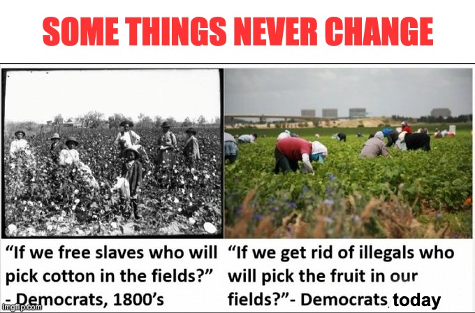 Come in legally, pick fruit, and go back ... that's how it used to work. | SOME THINGS NEVER CHANGE; today | image tagged in illegal immigration,deportation | made w/ Imgflip meme maker