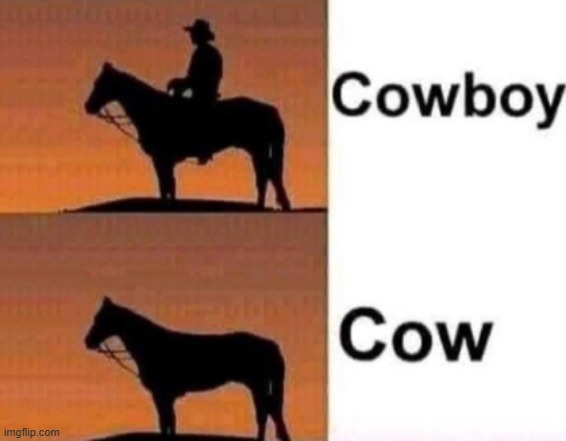 i dont think thats a cow | image tagged in cow | made w/ Imgflip meme maker