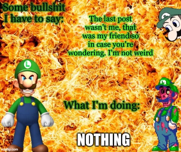 So yeah. | The last post wasn't me, that was my friend so in case you're wondering. I'm not weird; NOTHING | image tagged in angry luigi template | made w/ Imgflip meme maker