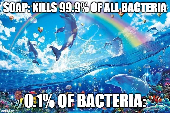 yummy | SOAP: KILLS 99.9% OF ALL BACTERIA; 0.1% OF BACTERIA: | image tagged in happy dolphin rainbow | made w/ Imgflip meme maker