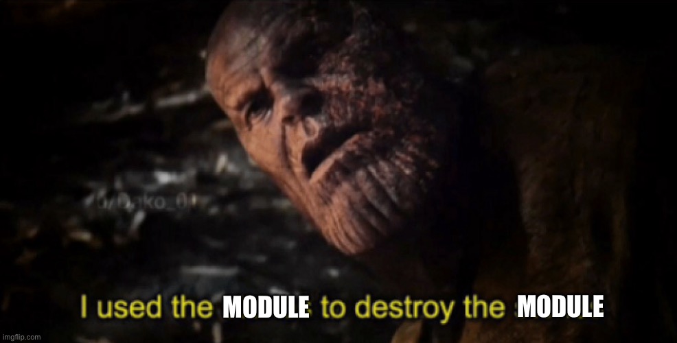 I used the stones to destroy the stones | MODULE; MODULE | image tagged in i used the stones to destroy the stones | made w/ Imgflip meme maker