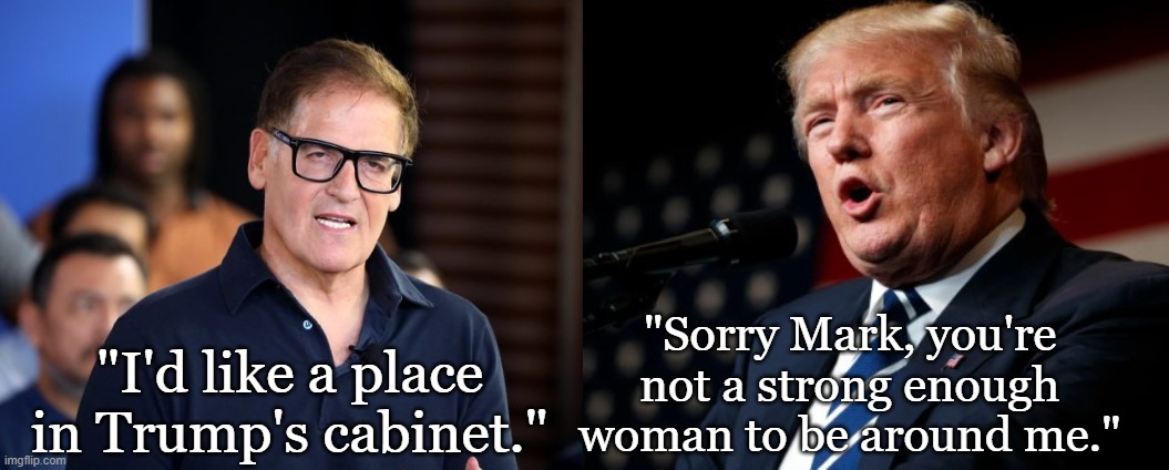 No job for you! | "Sorry Mark, you're not a strong enough woman to be around me."; "I'd like a place in Trump's cabinet." | image tagged in donald trump,shark tank,political meme | made w/ Imgflip meme maker