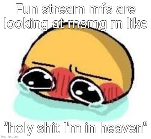 amb shamb bbbmba | Fun stream mfs are looking at msmg rn like; "holy shit I'm in heaven" | image tagged in amb shamb bbbmba | made w/ Imgflip meme maker