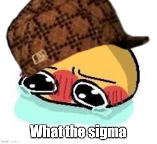 amb shamb bbbmba | What the sigma | image tagged in amb shamb bbbmba | made w/ Imgflip meme maker