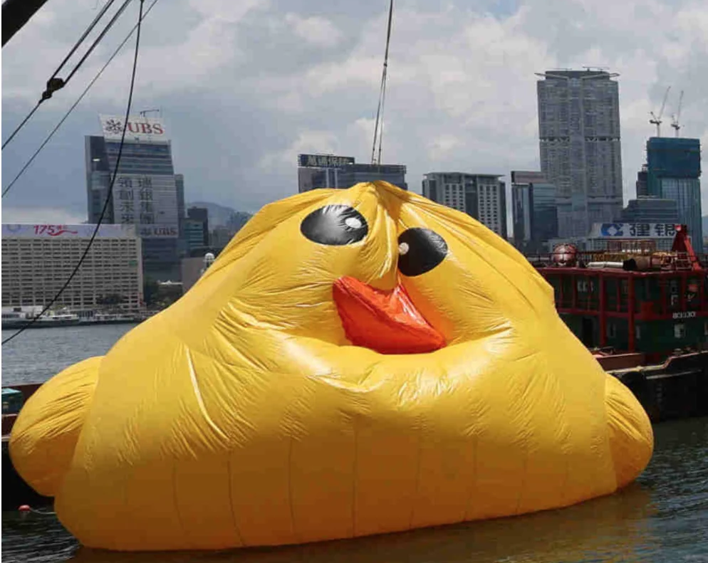 Deflated Duck Blank Meme Template