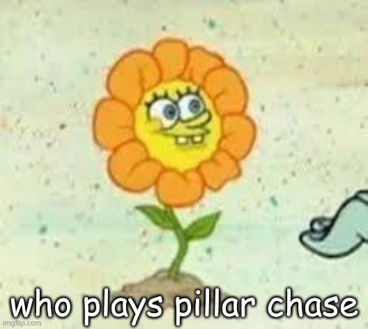 flowey | who plays pillar chase | image tagged in flowey | made w/ Imgflip meme maker