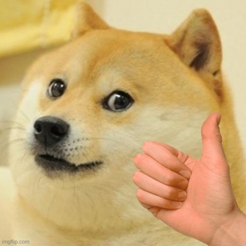 Doge Meme | image tagged in memes,doge | made w/ Imgflip meme maker