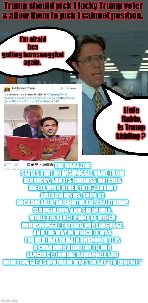 I'm afraid hes getting hornswoggled again. Trump should pick 1 lucky Trump voter & allow them to pick 1 cabinet position. Little Rubio, is Trump kidding ? THE MAGAZINE STATES THAT HORNSWOGGLE CAME FROM KENTUCKY, AND ITS ODDNESS MATCHES NICELY WITH OTHER 19TH-CENTURY AMERICANISMS, SUCH AS SOCKDOLAGER, ABSQUATULATE, CALLITHUMP, SLUMGULLION, AND SKEDADDLE. WHILE THE EXACT POINT AT WHICH HORNSWOGGLE ENTERED OUR LANGUAGE, AND THE WAY IN WHICH IT WAS FORMED, MAY REMAIN UNKNOWN, IT IS A CHARMING ADDITION TO OUR LANGUAGE, JOINING BAMBOOZLE AND HONEYFUGGLE AS COLORFUL WAYS TO SAY "TO DECEIVE." | image tagged in memes,that would be great,blank transparent square | made w/ Imgflip meme maker