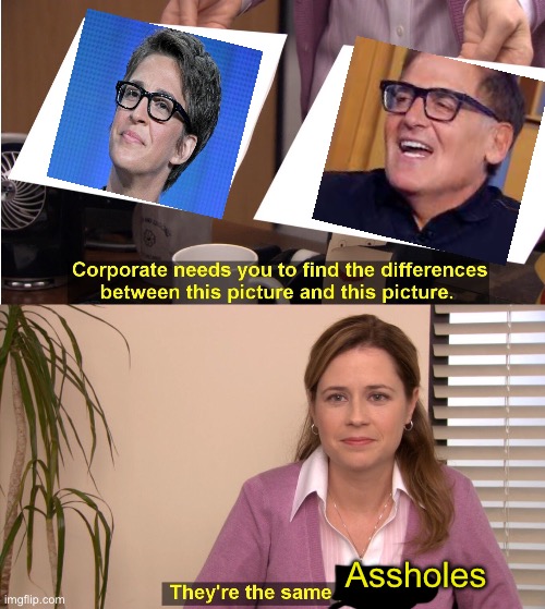 They're The Same Picture | Assholes | image tagged in memes,they're the same picture,rachel maddow,politics | made w/ Imgflip meme maker