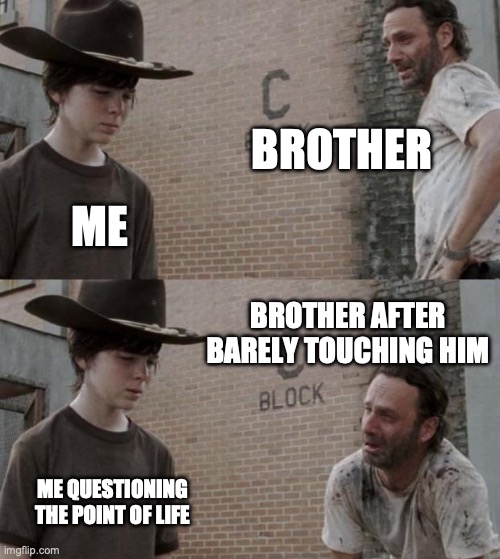 Rick and Carl | BROTHER; ME; BROTHER AFTER BARELY TOUCHING HIM; ME QUESTIONING THE POINT OF LIFE | image tagged in memes,rick and carl | made w/ Imgflip meme maker