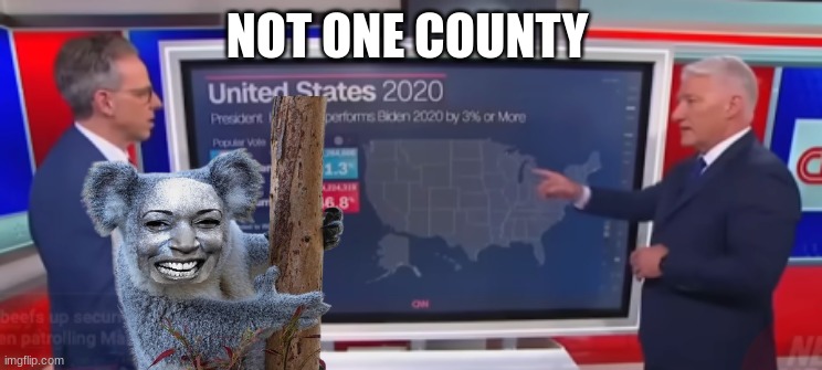 Not One county | NOT ONE COUNTY | image tagged in memes,kamala harris,surprised koala,news | made w/ Imgflip meme maker