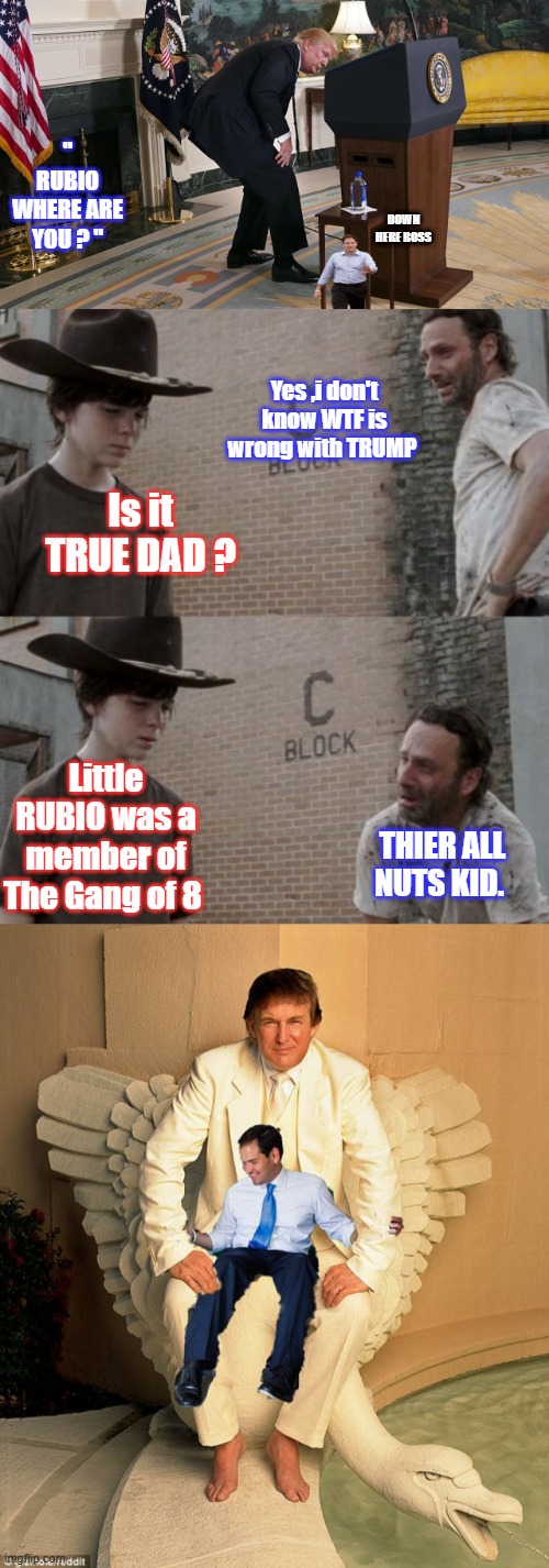 Well what's next? | " RUBIO WHERE ARE YOU ? "; DOWN HERE BOSS; Yes ,i don't know WTF is wrong with TRUMP; Is it TRUE DAD ? Little RUBIO was a member of The Gang of 8; THIER ALL NUTS KID. | image tagged in memes,rick and carl | made w/ Imgflip meme maker