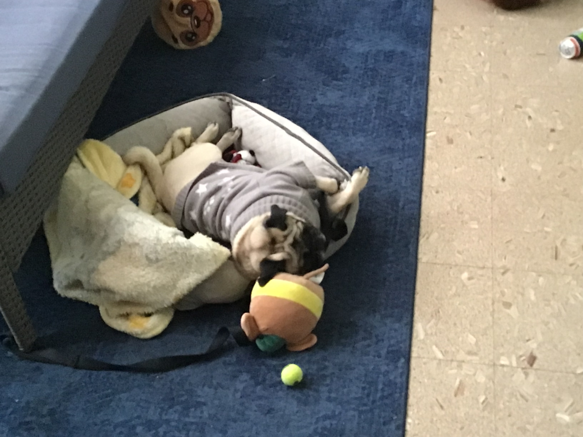 CoC Blank Meme Template