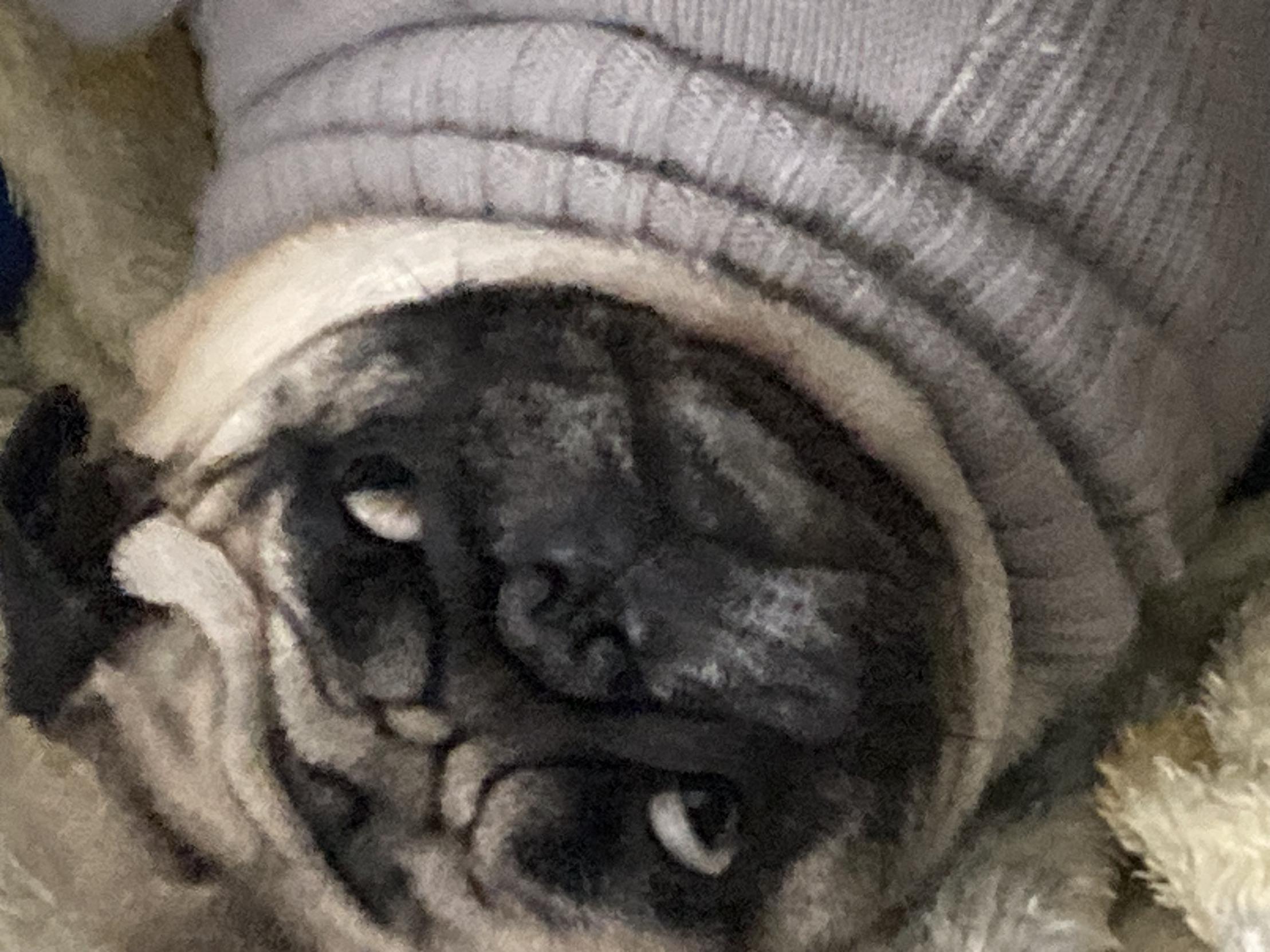 CoC Blank Meme Template