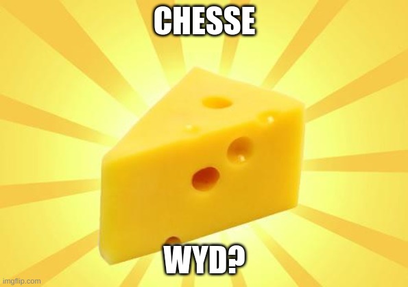 Cheese Time | CHESSE; WYD? | image tagged in cheese time | made w/ Imgflip meme maker