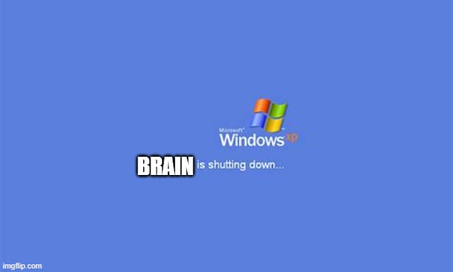 Windows XP is shutting down | BRAIN | image tagged in windows xp is shutting down | made w/ Imgflip meme maker