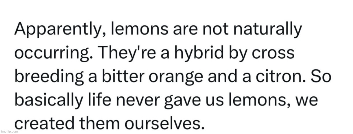 Lemons, man! Who knew? | image tagged in lemons,lemonade,when life gives you lemons,when life gives you lemons x,fruit,weird | made w/ Imgflip meme maker