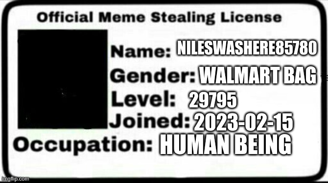 Meme Stealing License | NILESWASHERE85780 WALMART BAG 29795 2023-02-15 HUMAN BEING | image tagged in meme stealing license | made w/ Imgflip meme maker