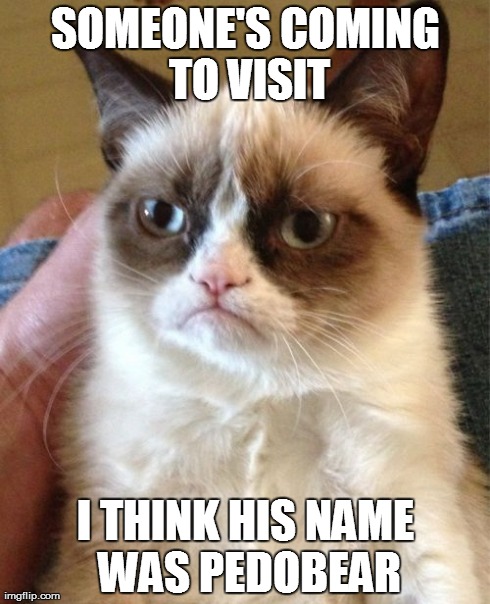 Grumpy Cat Meme | SOMEONE'S COMING TO VISIT I THINK HIS NAME WAS PEDOBEAR | image tagged in memes,grumpy cat | made w/ Imgflip meme maker