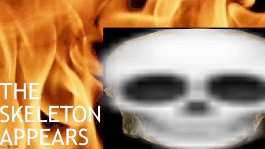 The Skeleton Appears | image tagged in the skeleton appears | made w/ Imgflip meme maker