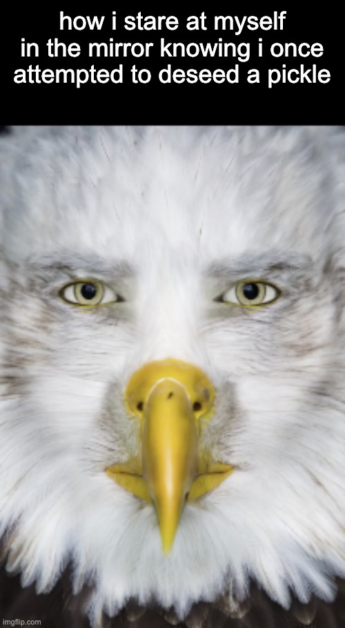12 year old me was genuinely slow | how i stare at myself in the mirror knowing i once attempted to deseed a pickle | image tagged in marvin beak | made w/ Imgflip meme maker