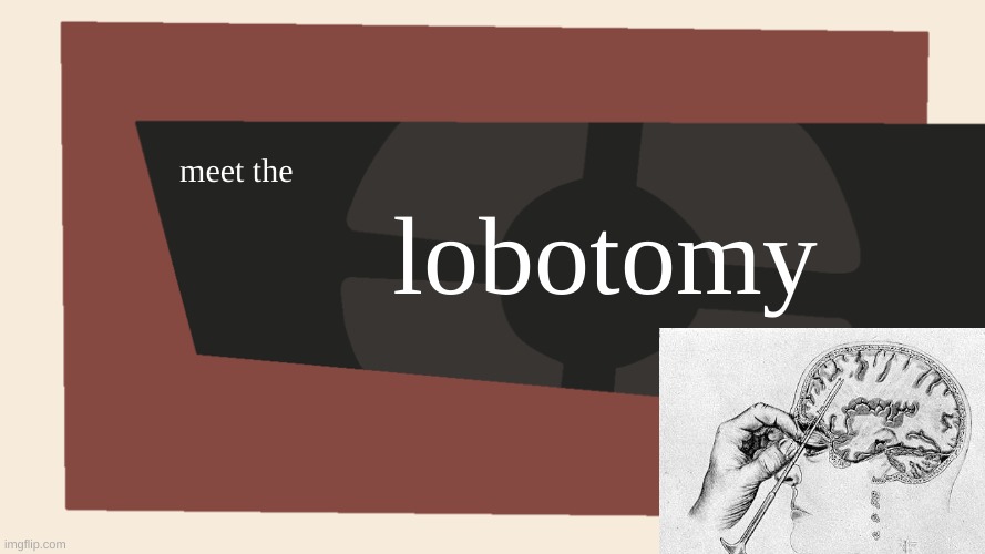 Meet the <Blank> | meet the lobotomy | image tagged in meet the blank | made w/ Imgflip meme maker