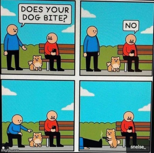 He can hurt you in other ways | image tagged in comics/cartoons,dog,armed robbery,warning,don't the dog | made w/ Imgflip meme maker