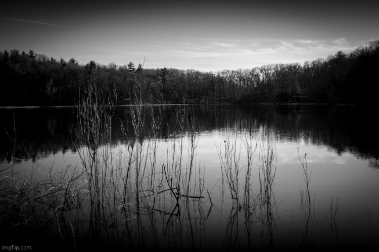 Inspiration | image tagged in inspiration,inspirational,lake,black and white,meme | made w/ Imgflip meme maker