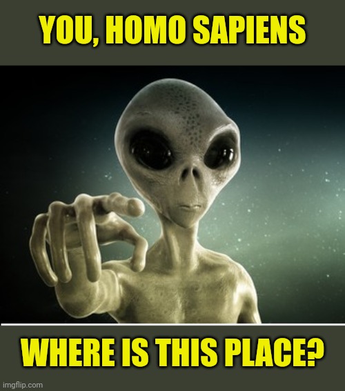 Alert, Alert, Alert.. Looking for intelligence | YOU, HOMO SAPIENS; WHERE IS THIS PLACE? | image tagged in you,memes,imgflip,old imgflip,where's everyone | made w/ Imgflip meme maker