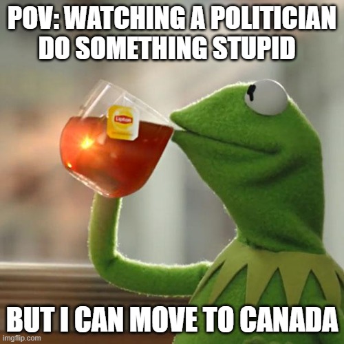 yeas | POV: WATCHING A POLITICIAN DO SOMETHING STUPID; BUT I CAN MOVE TO CANADA | image tagged in memes,but that's none of my business,kermit the frog,canada,funny,fun | made w/ Imgflip meme maker