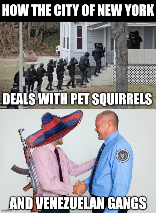 So NY has its priorities straight right? Saving us from those dangerous pet squirrels instead of cartels. | HOW THE CITY OF NEW YORK; DEALS WITH PET SQUIRRELS; AND VENEZUELAN GANGS | image tagged in liberal logic,liberal hypocrisy,new york city,stupid people,daily abuse,democratic socialism | made w/ Imgflip meme maker