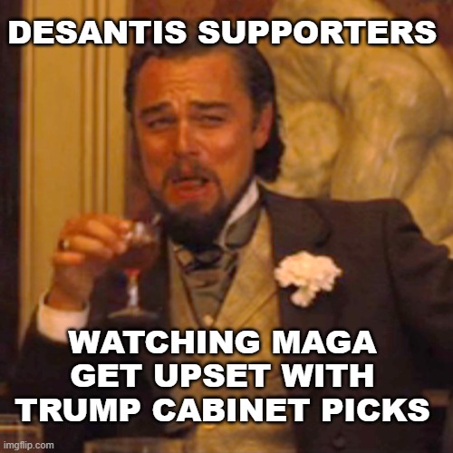 DeSantis Supporters | DESANTIS SUPPORTERS; WATCHING MAGA GET UPSET WITH TRUMP CABINET PICKS | image tagged in memes,laughing leo,trump,trump cabinet | made w/ Imgflip meme maker